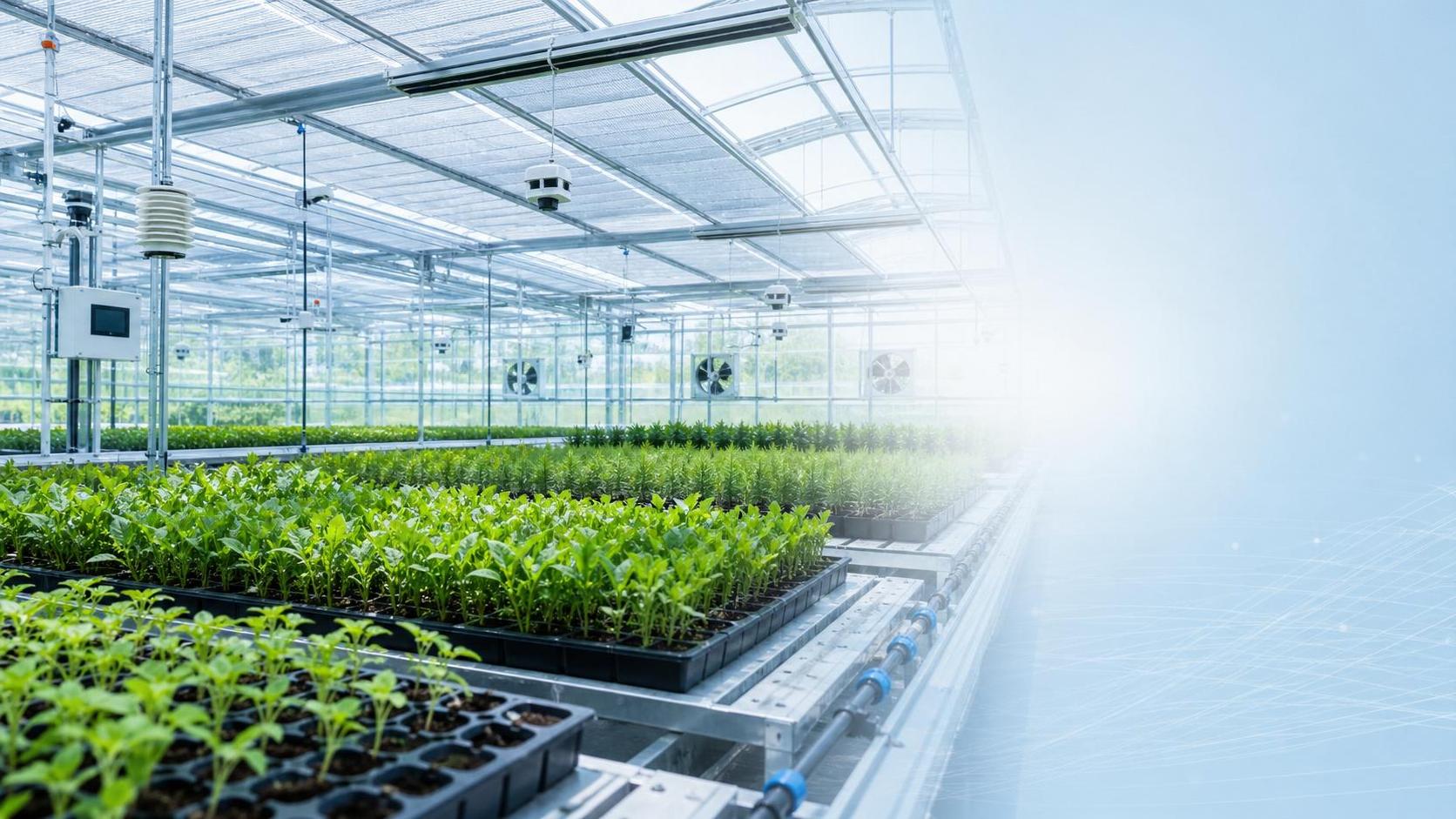 Agri & Forestry Greenhouse Technology Trends Shaping Smarter Operations Agri & Forestry Greenhouse Technology Trends Shaping Smarter Operations