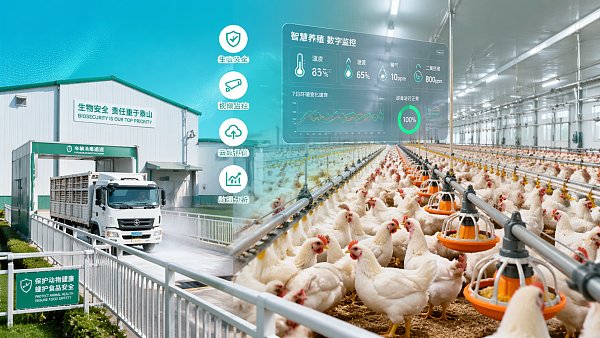 What are the best practices for poultry biosecurity?
