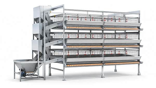 Evaluating CAPEX in Avian Infrastructure: Price Per Set and ROI for Poultry Cages