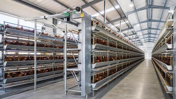 Battery Cage Dimensions and Capacity Planning Guide
