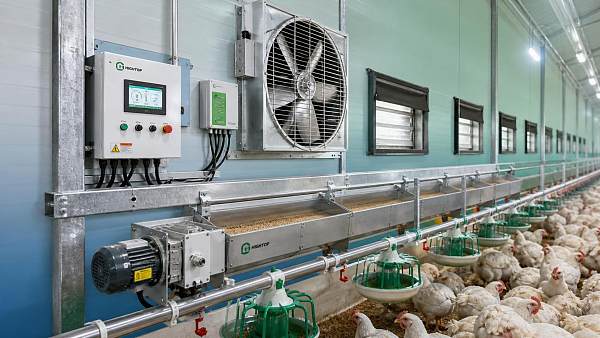 How to Evaluate a Poultry Farming Supplier for Quality and Reliable Support