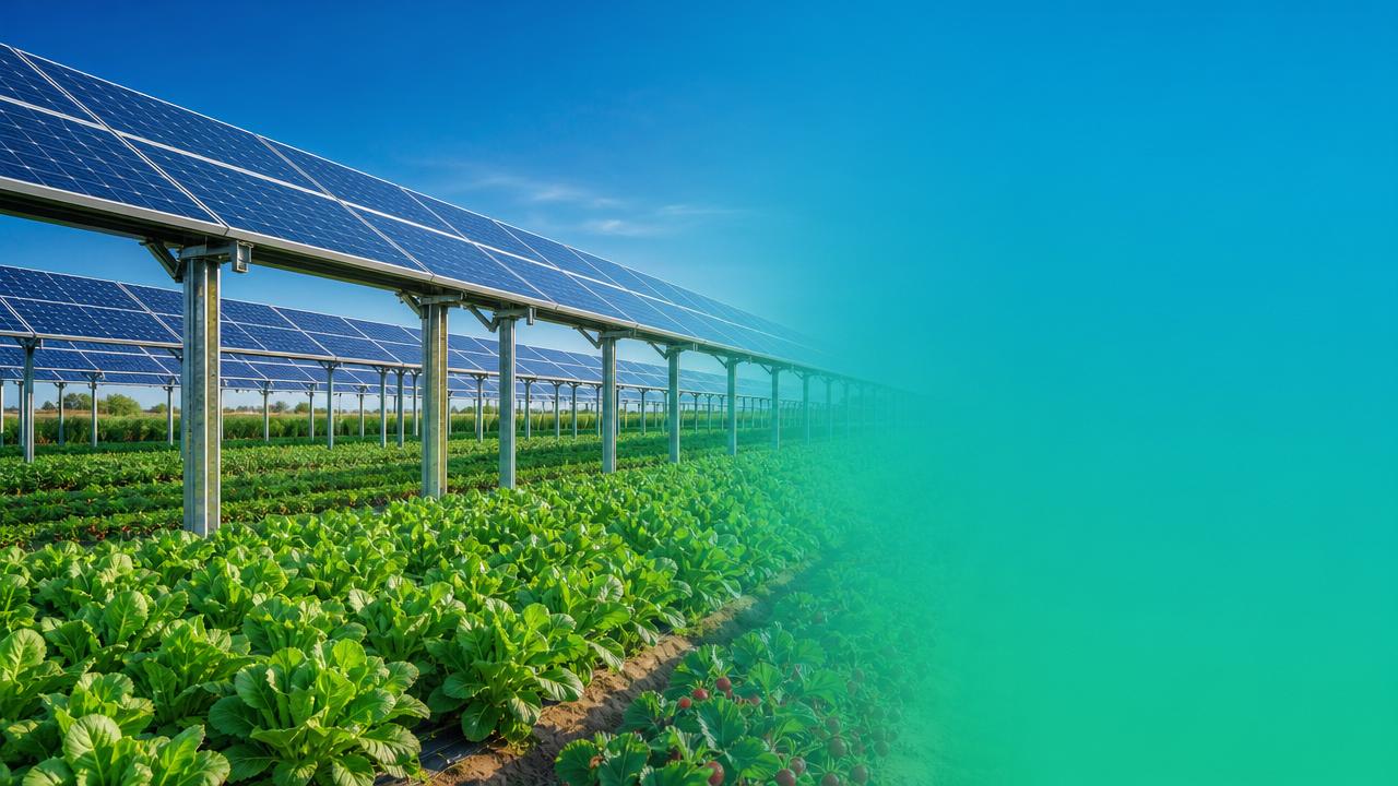 When do Agri-PV systems become a cost-effective choice?