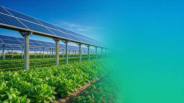 When do Agri-PV systems become a cost-effective choice?