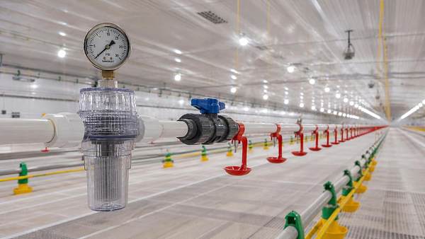 How Operating Pressure in PSI Affects Poultry Nipple Drinker Performance