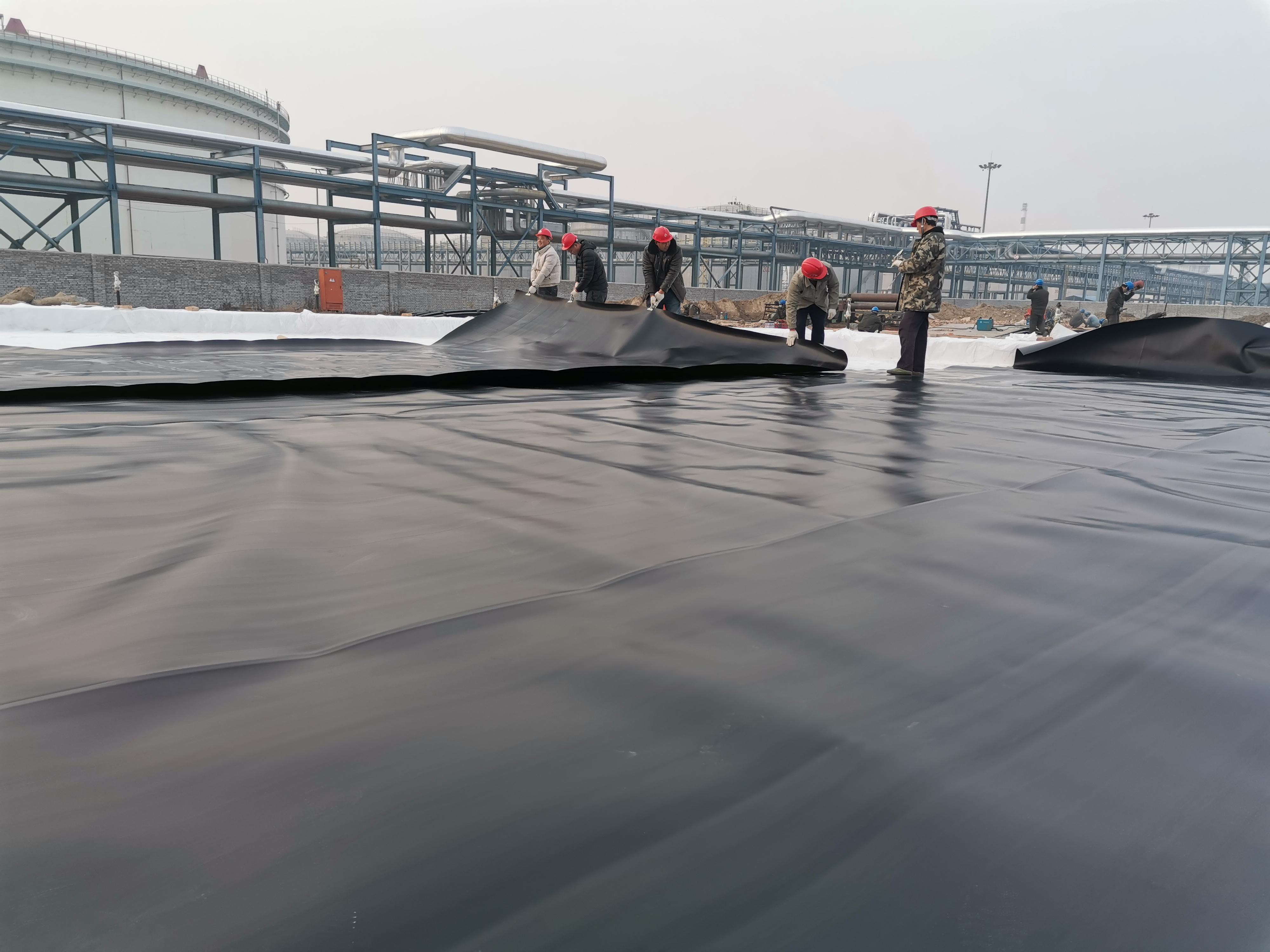 Dam Liner