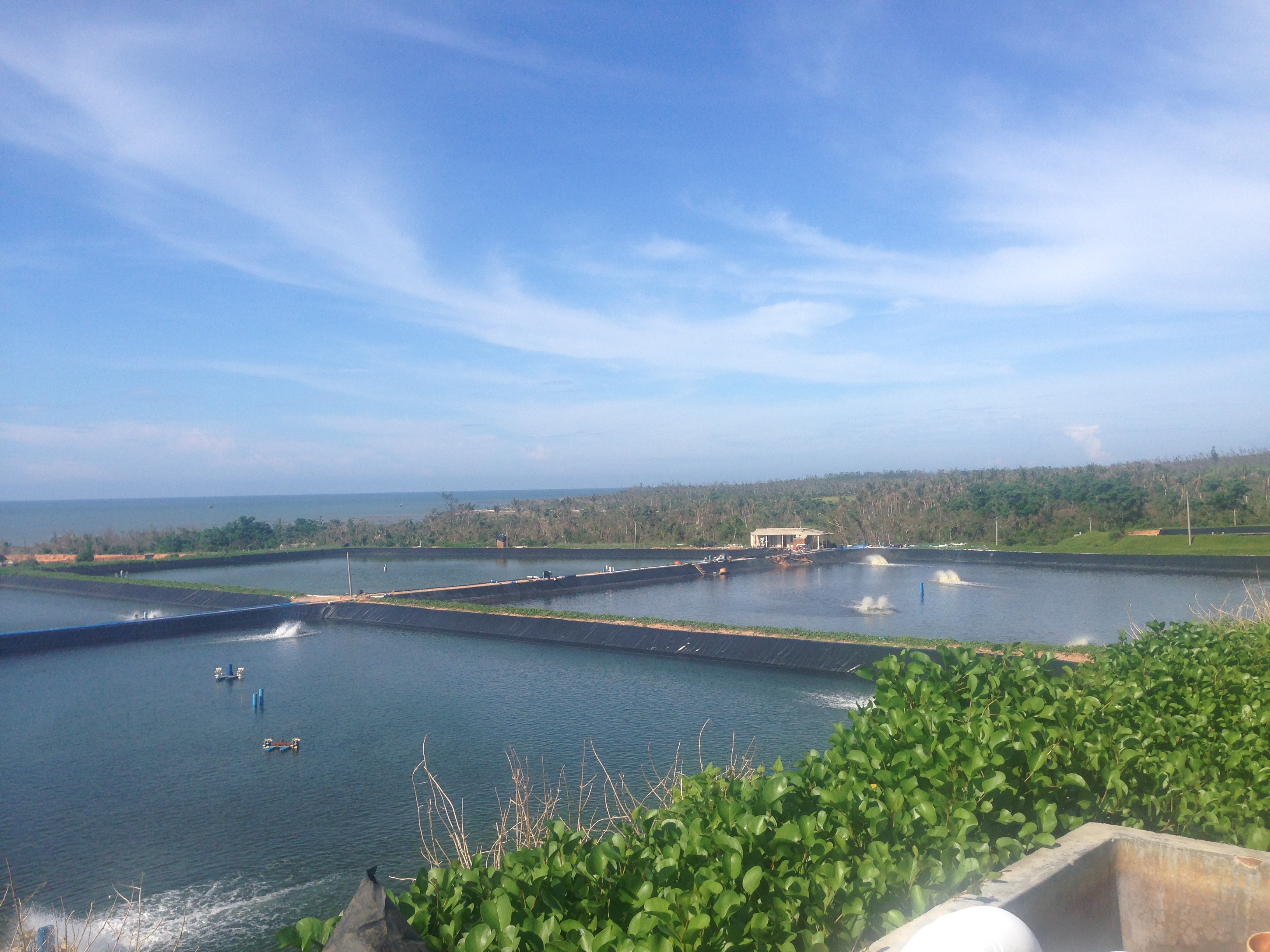 0.75mm to 1.2mm Fish Farm HDPE EVA Geomembrane Liner Pond