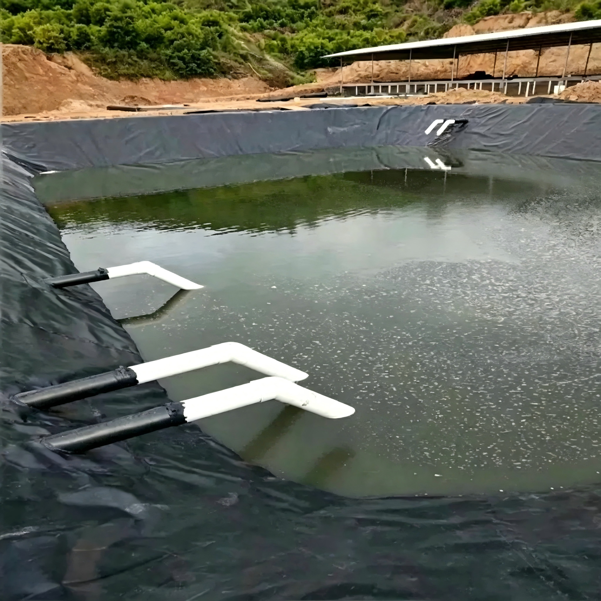 HDPE PE/EVA/Ecb/PVC Geomembrane Manufacturer for Agriculture/Reservoir