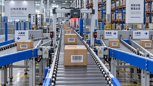 Automated Sorting for Warehouses: From Barcode Scanning to Order Routing
