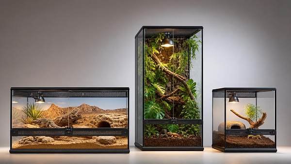 Reptile Terrariums: What Size, Ventilation, and Heating Setup Do You Actually Need?