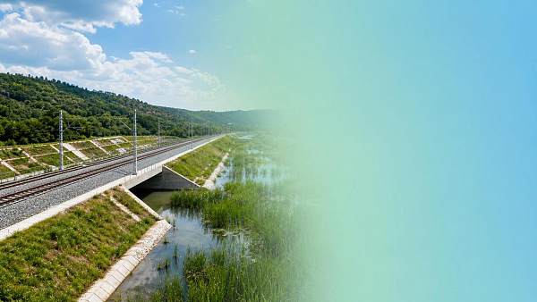 What Are Ecological Foundations in Rail Projects and How Are They Evaluated?