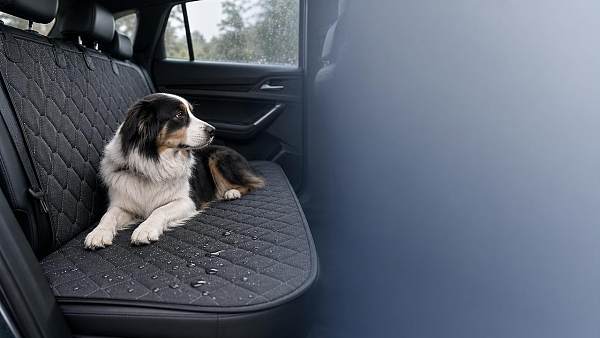 Do car seat covers for pets really protect interiors?
