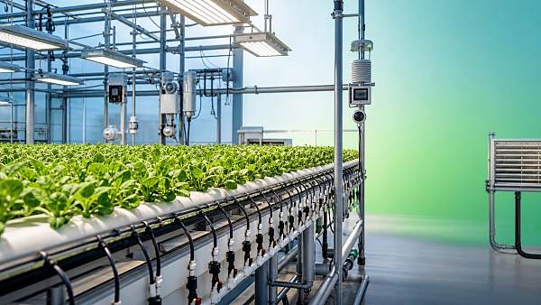 Greenhouse Technology for Yield Control: Which Systems Matter Most in Daily Operation?