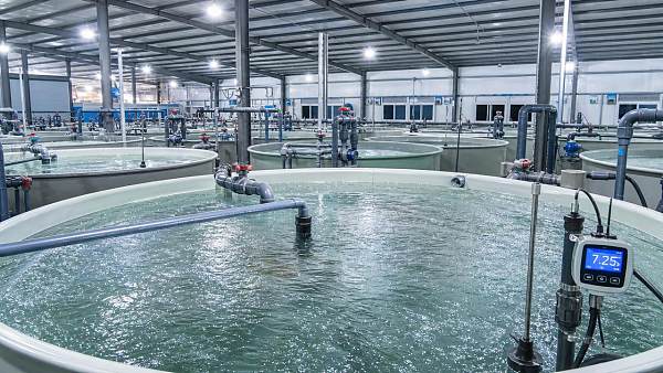 Aquaculture Equipment Selection: Tanks, Aeration, Pumps, and Monitoring