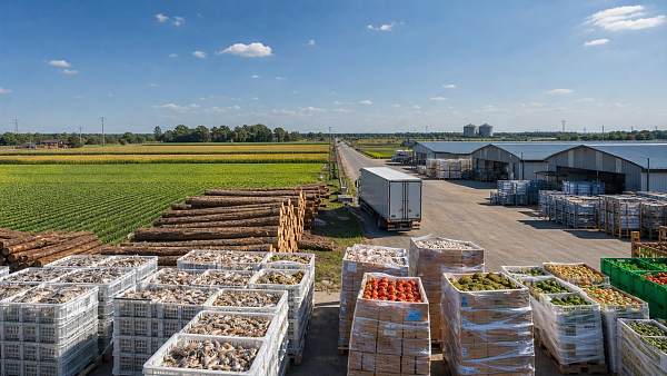 Rural Industry News in 2025: What Policy, Supply Chain, and Price Shifts Matter Most?