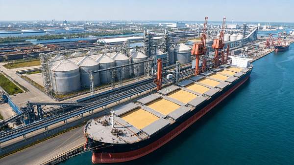 How to Read Soybean Imports Data for Supply Risk, Pricing, and Sourcing Plans