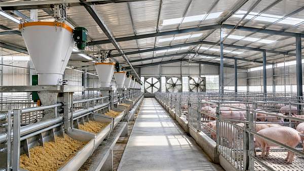 Livestock Equipment Buying Guide: How to Compare Feeding, Ventilation, and Handling Systems