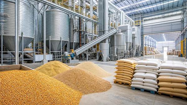 Feed Costs Breakdown: What Drives Price Changes and How Farms Can Control Spend