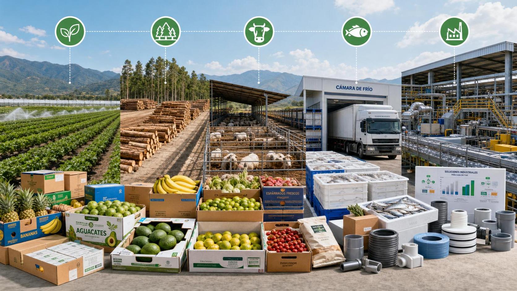 How to Build an Application Scenario Guide for Latin America Across Industries
