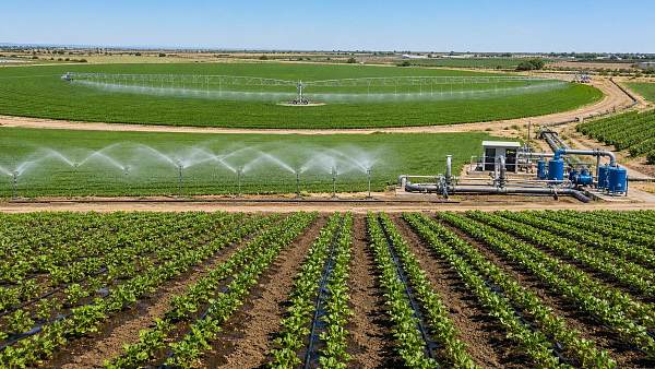 Agricultural Solution Comparison: Drip vs Sprinkler vs Pivot Irrigation Systems