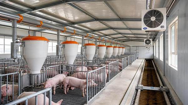 Livestock Breeding Equipment Selection Guide: Capacity, Hygiene, Automation, and ROI