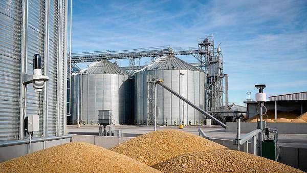 Sealed Grain Storage: How to Reduce Moisture Loss, Pests, and Post-Harvest Risk