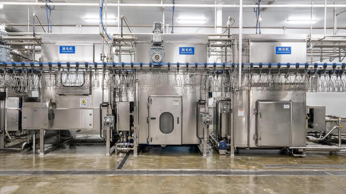 Reducing Downtime Risks When Procuring Poultry Slaughterhouse Equipment Reducing Downtime Risks When Procuring Poultry Slaughterhouse Equipment