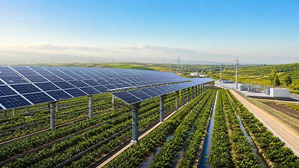 Agri-PV Systems: Key Site Factors That Decide ROI