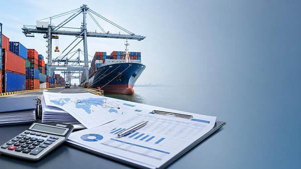 How Port Authorities Tariff Volatility Management Affects Import Budgeting and Routing
