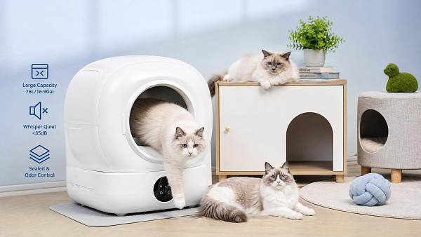 How to Choose a Self Cleaning Litter Box for Multiple Cats in Small Apartments