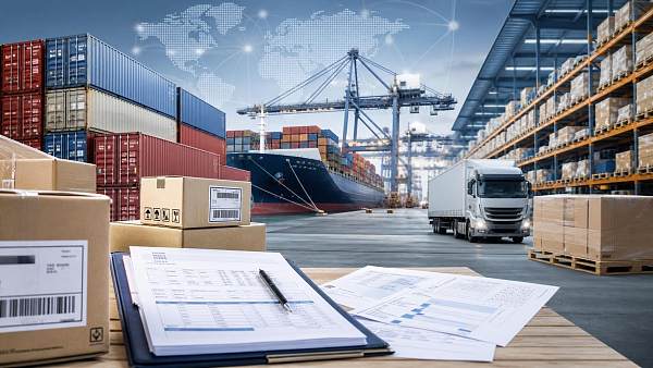 Logistics Risk Analysis: How to Identify Bottlenecks Before They Delay Delivery