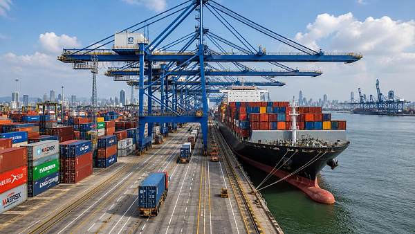 What Affects Container Shipping Costs and Transit Reliability in Global Trade?
