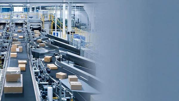 Automated Sorting System Price Breakdown: What Drives Cost in Warehouse Projects?