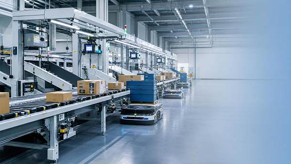Warehouse Execution Systems for Distribution Centers: Key Functions and Fit Criteria