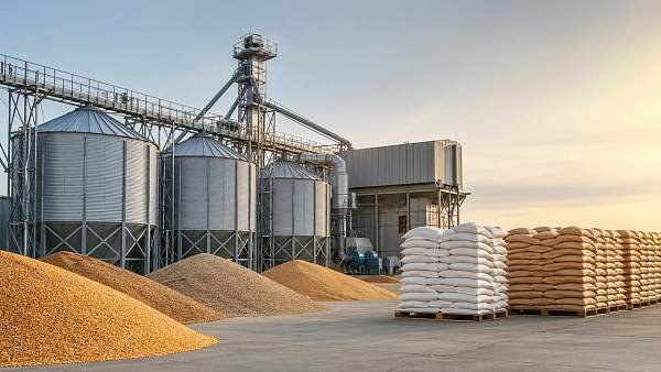 Feed & Grain Market Signals Worth Watching Before Capacity Expansion