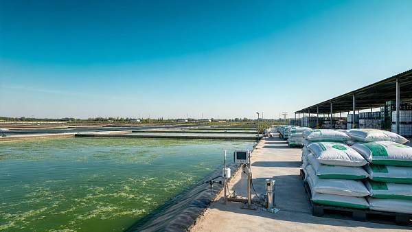 Aquaculture & Fishery Operations: When Bulk Fertilizers Make Sense Aquaculture & Fishery Operations: When Bulk Fertilizers Make Sense