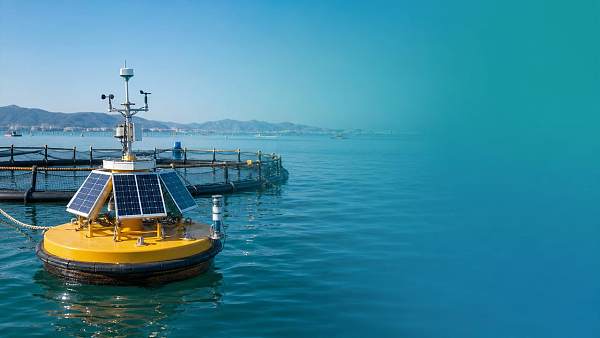 Smart Buoys for Aquaculture: Key Metrics Before Deployment