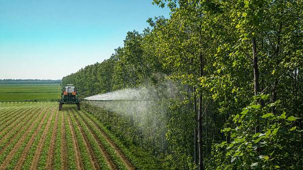Agri & Forestry Pest Control: Common Field Failures and Practical Fixes Agri & Forestry Pest Control: Common Field Failures and Practical Fixes