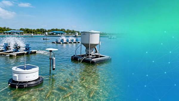 Aquaculture Tech for Shrimp Farming: Systems That Improve Survival and Feed Use