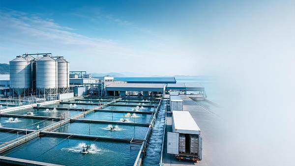Aquaculture Production Asia: 2026 Output Trends and Supply Chain Shifts