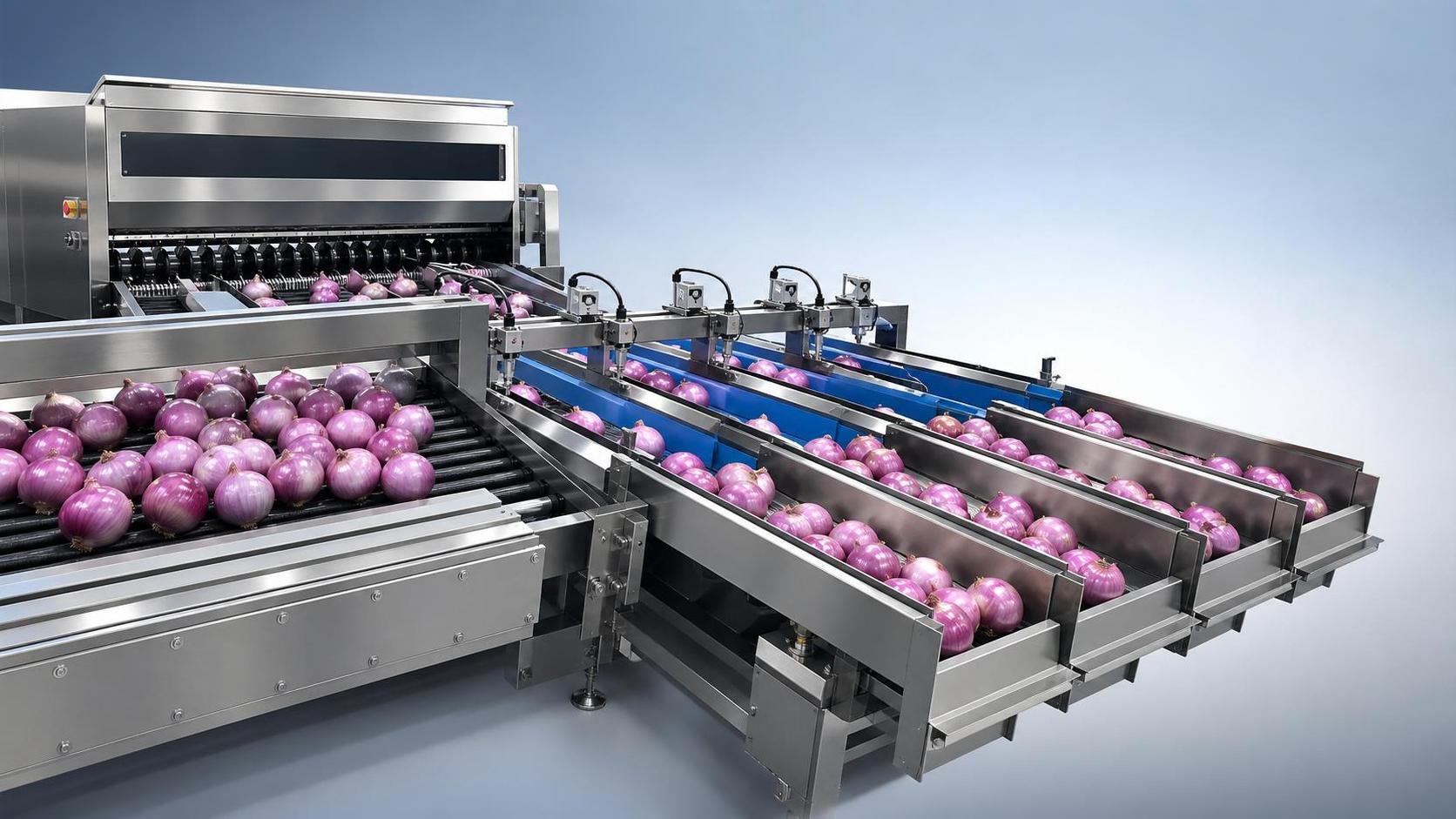Automatic Onion Grading Machine: Key Checks Before Line Integration