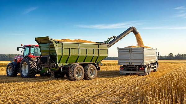 Grain Farm Wagon Buying Guide: Capacity, Tire Options, and Unloading Efficiency