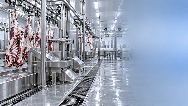 What hygiene standards should a stainless steel cattle slaughtering line meet?
