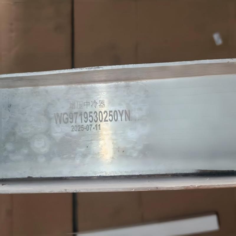 SINOTRUK HOWO Intercooler Assembly WG9719530250 Engine Charge Air Cooler for WD615 Engine