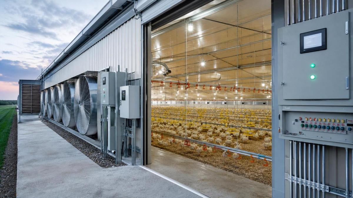 Turnkey Poultry Solutions: What to Check Before Signing Turnkey Poultry Solutions: What to Check Before Signing