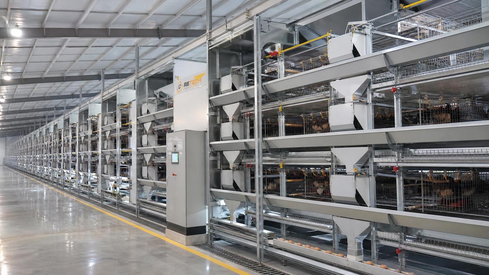 Fully Automatic H Type Layer Chicken Cage: Key Checks Before Ordering