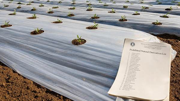 Vietnam Introduces Ban-and-Disclosure List for Pesticide/Biocide Actives; Bio-Plastic Mulch Exporters Must Submit Migration Data