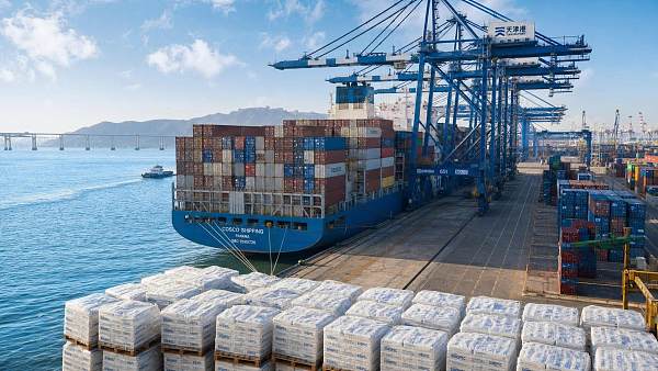 OECD Cuts 2026 Growth Outlook to 2.8% as Engineering Resins Freight Stays Elevated