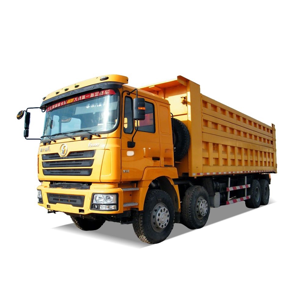 Nouveau camion-benne Shacman F3000 6X4 économique à vendre