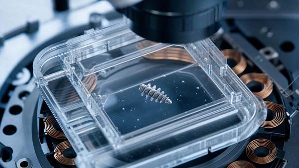 FDA Recognizes China's YY/T 1879-2026 as Sole Preclinical Standard for Micro-Robots