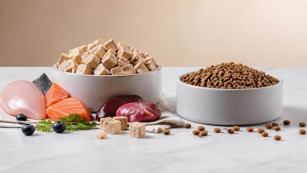 Freeze-Dried Pet Food vs Kibble: What Matters Most for Ingredient Quality?